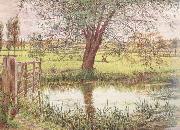 William Bell Scott Landscape with a Gate and Watermeadow (mk46) china oil painting artist